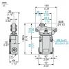 XC1AC119 Кінцевий вимикач XC Standard, XC1AC, roller lever on needle roller bearing, 1C/O