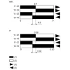 XC2JC163 Кінцевий вимикач XC Standard, XC2 J, metal side plunger, 1 C/O