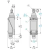 XCE102CTQ Плунжер сталевий роликовий, horizontal actuation, sold in lots of 10