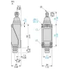 XCE103CTQ Плунжер сталевий роликовий, vertical actuation, sold in lots of 10