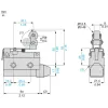 XCJ121C Short flat lever, roller end plunger, one side actuation