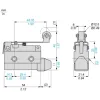 XCJ128C Long flat lever, roller end plunger