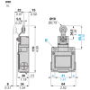 XCKM3915H29EX Кінцевий вимикач XC Standard, XCKM, roller lever, 2NC + НІ, ATEX/IECEx