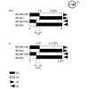 XCMD2111L1 Кінцевий вимикач XC Standard, XCMD, metal end plunger with nitrile boot, 1NC+1NO, миттєве спрацювання, 1 m