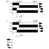 XCMD2124M12 Кінцевий вимикач XC Standard, XCMD, steel roller lever plunger retractable, 1C/O, миттєве спрацювання, M12