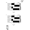 XCMD4111L5EX Кінцевий вимикач XC Standard, XCMD, plunger with elastomer boot, 2NC + 2 НІ, ATEX/IECEx