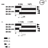 XCMH2121L2 XCMH Limit Switches Мініатюрний пластик пластик roller lever plunger horizontal actuation NC + НВ Snap L2