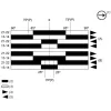 XCRE181EX Кінцевий вимикач XC Standard, XCR, square стержень 6 mm crossed, 2NC + 2 НІ, ATEX/IECEx