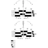 XCRT115EX Кінцевий вимикач XC Standard, XCR, roller lever, 2 C/O, ATEX/IECEx