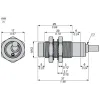 XS212B4PAL2 Індуктивний датчик наближення XS, inductive sensor XS2 M12, L37мm, латунь, Sn8 мм, 12...24 V DC, кабель 2 m