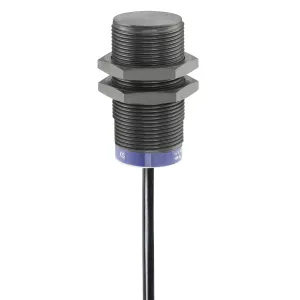 Індуктивний датчик наближення XS, inductive sensor XS4 M18, L62 мм, PPS, Sn8 мм, 12...48 V DC, кабель 2 m