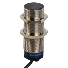 XSAV1562514 XSAV1562514