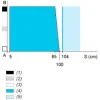 XUK8AKSNL10 Фотоелектричний датчик - XUK - BGS - Sn 1м - 12..24В DC - кабель 10m XUK8AKSNL10 Фотоелектричний датчик - XUK - BGS - Sn 1м - 12..24В DC - кабель 10m
