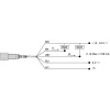 XXS30P8NNM12 Ультразвуковий датчик, plastic, циліндричний M30, straight, 8 m, 2 NPN