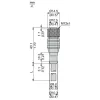 XZCP1141L2 Попередньо підключені роз`єми XZ, straight female, M12, 4 pins, кабель PUR 2 m XZCP1141L2 Попередньо підключені роз`єми XZ, straight female, M12, 4 pins, кабель PUR 2 m
